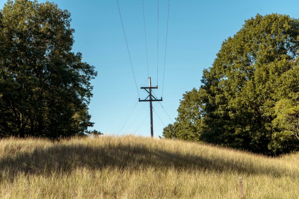 pexels-photo-33699319-33699319 A rural utility pole amid scenic grass and trees under a clear blue sky.